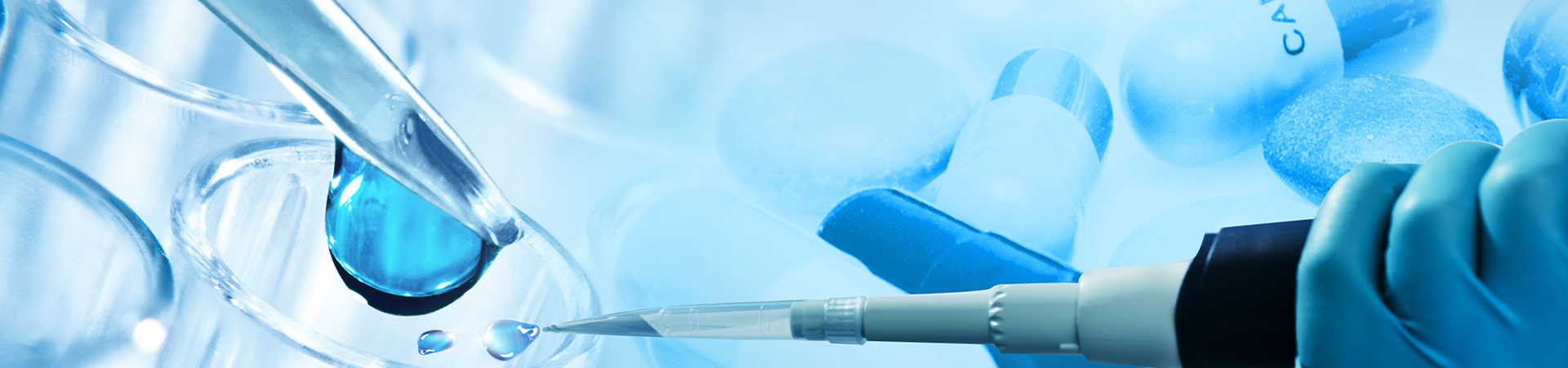 Liên hệ với chúng tôi